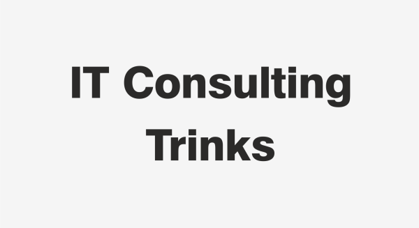 Logo Firma IT Consulting Trinks